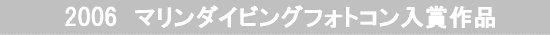 2006 マリンダイビングフォトコンで上位独占!