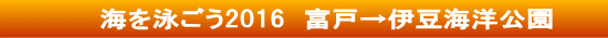 海を泳ごう2016