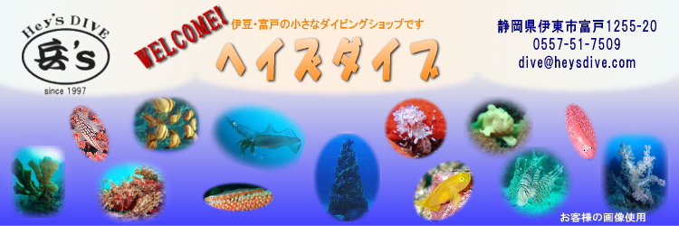 �ɓ��E�x�˂̏����ȃ_�C�r���O�V���b�v�h�w�C�Y�_�C�u�h