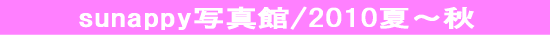 sunappy�ʐ^��2010�ā`�H