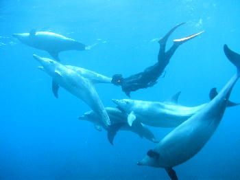 �Q�O�O�U�N�@�䑠���h���t�B���X�C���c�A�[�̎ʐ^