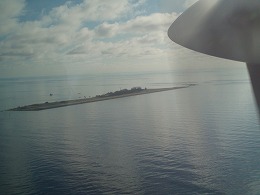 �������������c�A�[�摜1