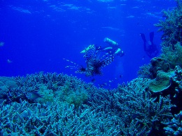 �������������c�A�[�摜4