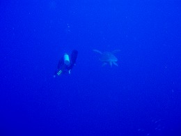 �������������c�A�[�摜15