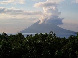 メナドツアー画像3