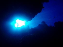 メナドツアー画像8