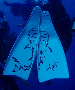 �^�I�c�A�[�摜12