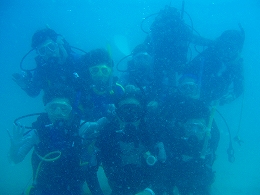 �^�I�c�A�[�摜13