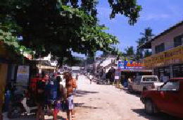 �^�I�c�A�[�摜2