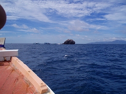 �^�I�c�A�[�摜6