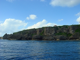 �V�c����̎ʐ^02