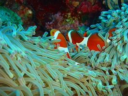 �V�c����̎ʐ^03