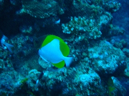 �V�c����̎ʐ^04