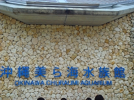 澤田さんの写真15