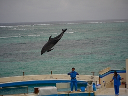 澤田さんの写真21
