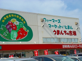 澤田さんの写真27