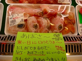 澤田さんの写真29