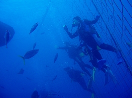 �W���x�C�摜11