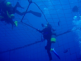 �W���x�C�摜17