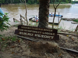 シパダン・ジャングル 画像2