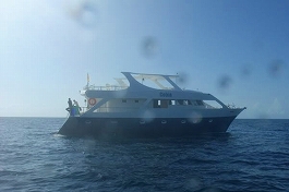 �����f�B�u�N���[�Y�c�A�[�摜����1