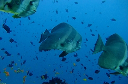 �����f�B�u�N���[�Y�c�A�[�摜����4