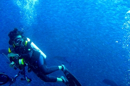 �����f�B�u�N���[�Y�c�A�[�摜����8