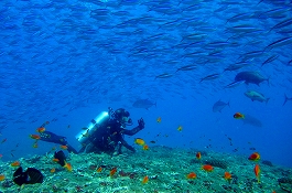 �����f�B�u�N���[�Y�c�A�[�摜����11