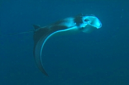 �����f�B�u�N���[�Y�c�A�[�摜����15