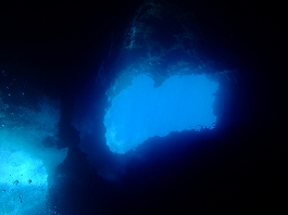 パラオツアー画像15