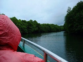 パラオツアー画像27