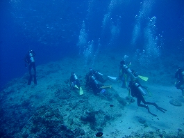 パラオツアー画像3