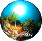 �runappy�o�������� 