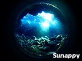 Sunappy�t�H�g