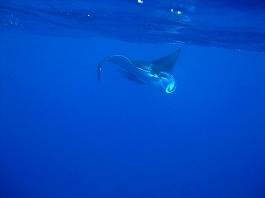 久米島ツアー画像3