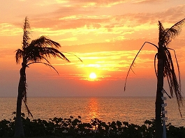 久米島ツアー画像9