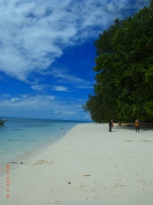 パラオツアー画像1