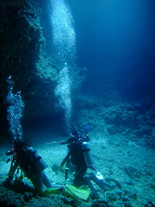 パラオツアー画像11