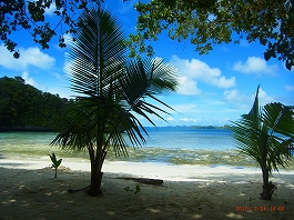 パラオツアー画像12