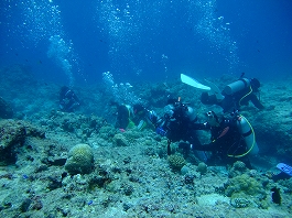 パラオツアー画像2