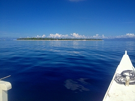 �A���i�c�A�[�摜3