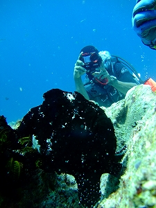 �A���i�c�A�[�摜8