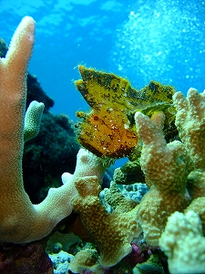 �A���i�c�A�[�摜9