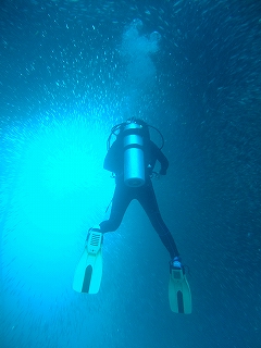 モアルボアル画像10