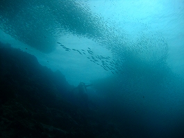 モアルボアル画像11