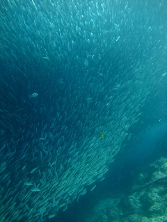 モアルボアル画像9