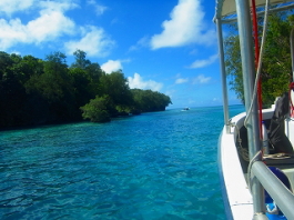 パラオツアー画像1