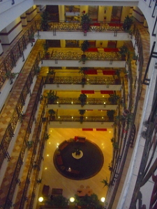 パラオツアー画像14