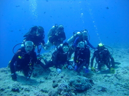 パラオツアー画像16