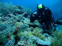 パラオツアー画像3